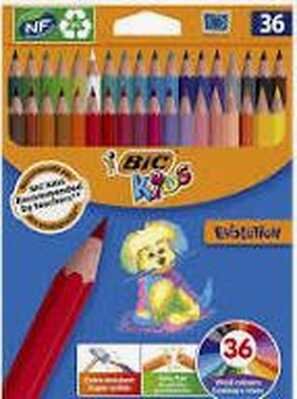 Crayons Bic Evolution